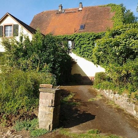 Gastehaus Zum Alten Schulhaus Ξενοδοχείο Miltenberg Δωμάτιο φωτογραφία