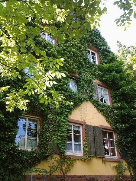 Gastehaus Zum Alten Schulhaus Ξενοδοχείο Miltenberg Δωμάτιο φωτογραφία