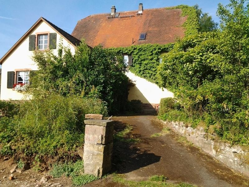 Gastehaus Zum Alten Schulhaus Ξενοδοχείο Miltenberg Δωμάτιο φωτογραφία
